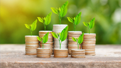 Funds and Demat