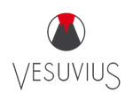 Vesuvius India Ltd