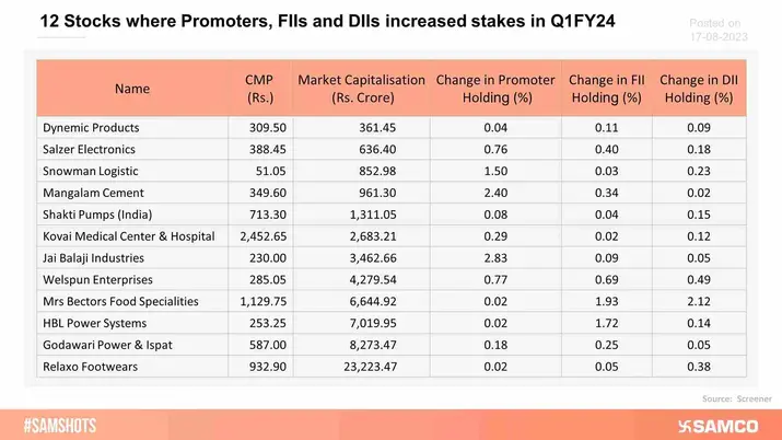 The table below covers a list of 12 companies where Promoters, FIIs and DIIs have all raised their stakes.