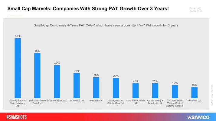 The chart lists the small-cap companiesâ€™ 4-year PAT CAGR which have seen a consistent YoY PAT growth for 3 years.