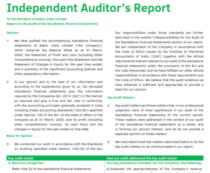 Annual Report - Auditor’s Report