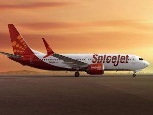 Share price of SpiceJet drops 8% While Q3 profit turnaround to ₹26 crore